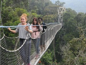 Canopy Walk in Nyungwe Forest National Park