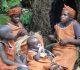 Batwa Cultural Tours