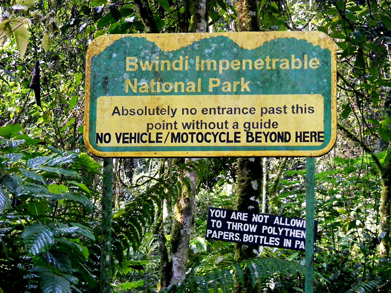 Bwindi Impenetrable National Park