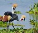 Visit Uganda Tours