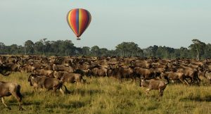 Kenya Safaris