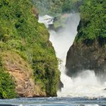 Murchison Falls National Park